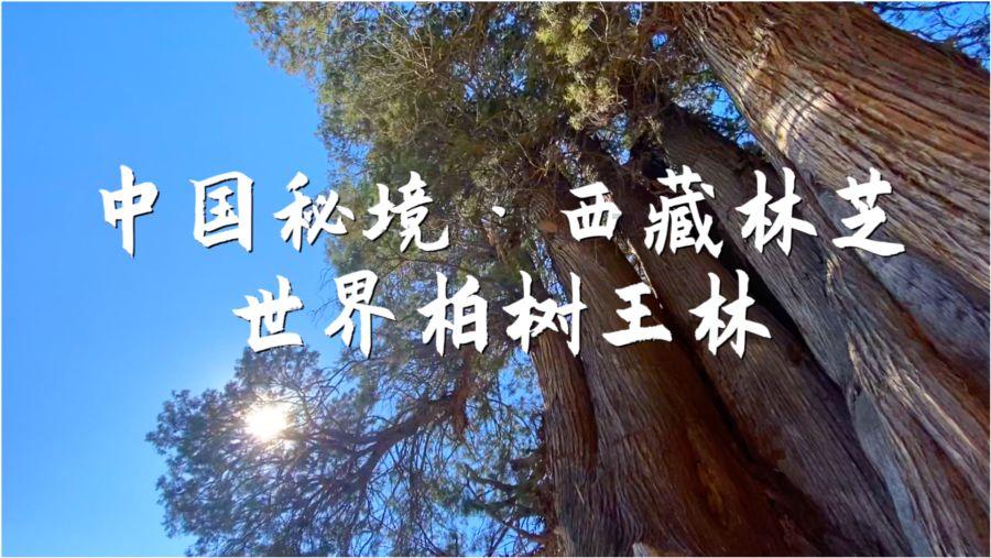 深度问答,哪里半导体产业发达??专家在线解答-哪里半导体产业发达??有问必答平台
