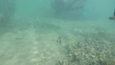 赵欣伯死后留下30亿元,妻子:钱多了是祸害,却诉讼20年追回